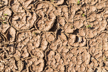 Detail Of Dry Ground On The Desert - Texture / Pattern