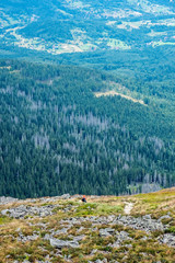 Hiker and forest, Babia hora hill Slovakia
