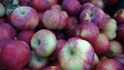 red apples