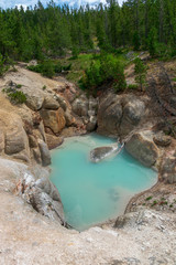 Fototapeta premium Norris Geyser Basin, Yellowstone National Park