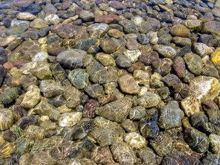 Clear water of river under sunlight. River stones in the clear river water. Background of river colored stones under water. Top view.