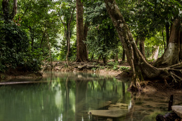 rio en la selva