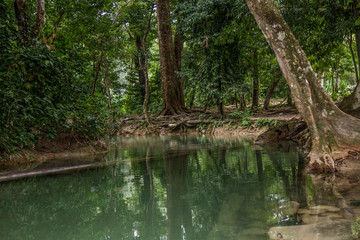 rio en medio de la selva
