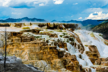 Mammoth Hot Springs, Yellowstone National Park