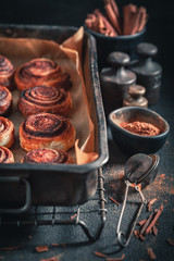 Tasty cinnamon rolls made of puff pastry and cocoa
