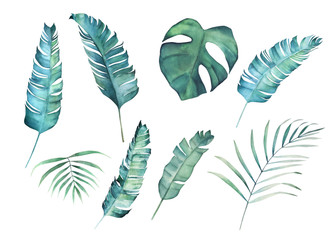 Watercolor leaves set. Hand drawn illustration. © natikka