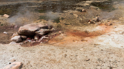 Yellowstone National Park Geyser Basin