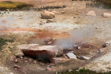Yellowstone National Park Geyser Basin