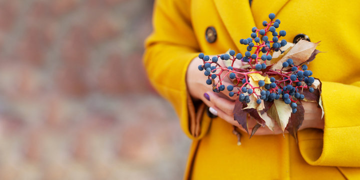 Autumn time. Girl 's hands holding a bouquet of colorfull  leaves  of maiden grapes. Close up image. Copy space