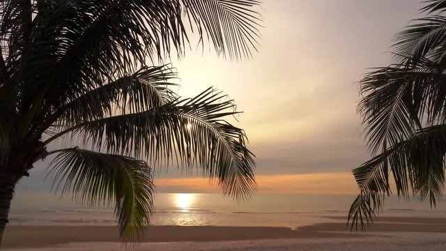 Tilt down during Exotic tropical seaside beach sunset with Palm trees in the foreground