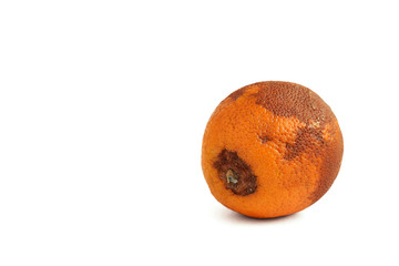 Rotten orange isolated on a white background. Copy space
