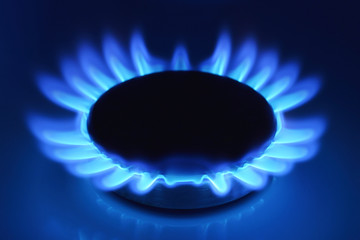 Gas burner on the stove. Natural gas flame. Closeup