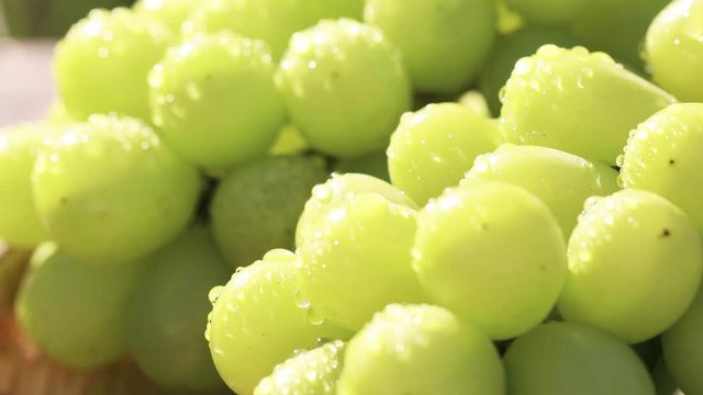 ぶどう（シャインマスカット）とトンボ