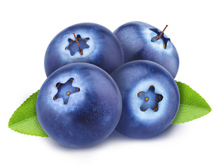 Heap of freshly picked blueberries with leaves isolated on white background. As design element.