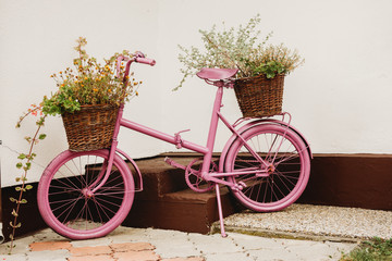 Fototapeta na wymiar upcycled recycled pink old vintage shabby bycicle used as a flower pot 