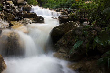 Fototapeta premium waterfall in forest