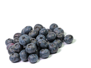 Heidelbeeren vor weißem Hintergrund