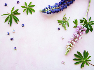 Obraz na płótnie Canvas Pink and purple lupine flowers