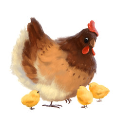 Drawn funny hen and chickens on a white background