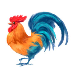 Painted cheerful cockerel on a white background