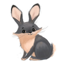 Illustration of a funny cartoon hare, rabbit, on a white background