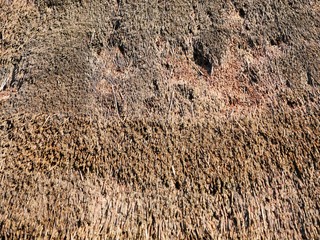 Fragment of thatched rood. Old craft, organic material concept. Selective focus.