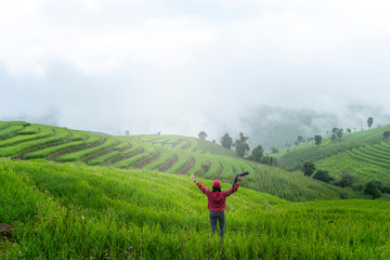 Fototapeta premium Rice field in countryside (Pa Pong Piang Rice Terraces) Chiang Mai Province, Thaiiland