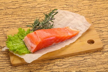 Piece of raw salmon