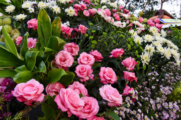 flowers Tropical leaves foliage plant bush floral arrangement nature clipping path included.