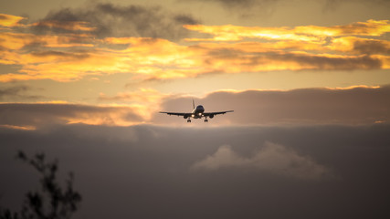 Fototapeta na wymiar air plane in sunset sky