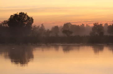 Misty wetlands sunrise