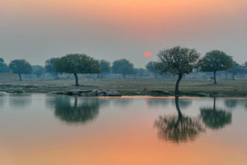 Gadisar lake in the morning at sunrise. Jaisalmer. India