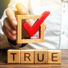 A man holds a red check mark over word True. Confirm the veracity and truth. Fight against fake...