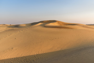 Fototapeta na wymiar Sand dunes in Thar desert. Jaisalmer. India