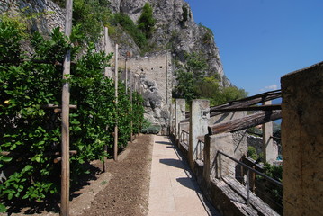 Limone sul Garda - italienische Gemeinde am Westufer des Gardasees in der Provinz Brescia in der...