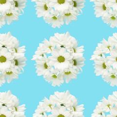 Beautiful white chrysanthemum flowers placed in round on a blue background. Seamless pattern