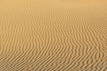 Fototapeta na wymiar Sand background texture in Thar desert. Jaisalmer. India