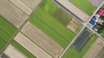 Sunny daytime countryside