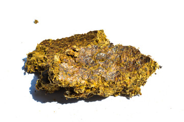 cotton seeds oil cake