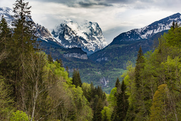 Fototapeta premium Swiss Alpine scenery of valleys, forests, waterfalls and snow covered mountains of the Bernese Alps (Mittlehorn and Schreckhorn) looking towards the legendary Grosse Scheidegg pass