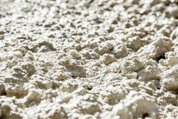 Fototapeta na wymiar Closeup and texture of cement. It surface is very rough.