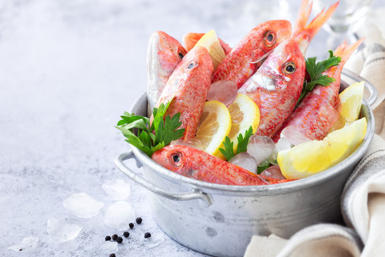 Fresh striped red mullet in a tin basket with slices of lemon and parsley leaves with plenty of copy space for your text
