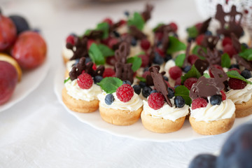 tartlets with quark filling and berries
