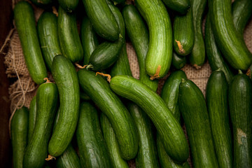 Cucumber Vegetables Full Frame close up