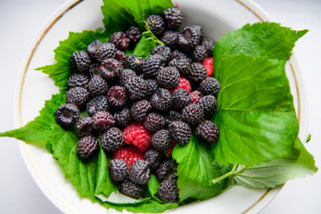 berries on green leaves. black raspberries with red. berries. vitamins from berries.