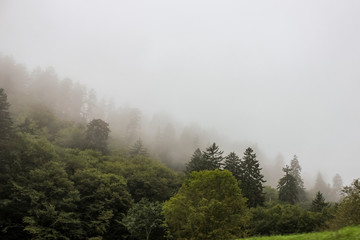 Fototapeta na wymiar Misty weather on Smoky mountains in North Carolina, USA