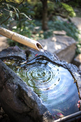 日本のつくばい　和風イメージ