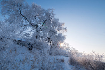 Beautiful morning rime in northern China