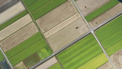Sunny daytime countryside
