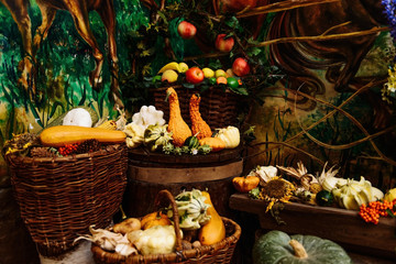 Fototapeta na wymiar Autumn still life with pumpkins, zucchini and apples